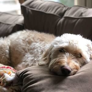 Meet your Posher, Kristie